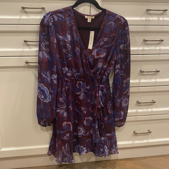 Fracescas NWT floral dress - Picture 1 of 4
